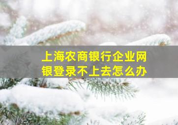 上海农商银行企业网银登录不上去怎么办