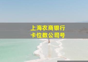 上海农商银行卡位数公司号