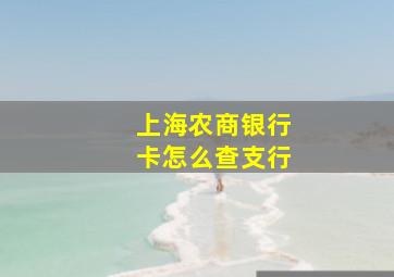 上海农商银行卡怎么查支行