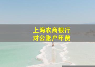 上海农商银行对公账户年费