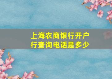 上海农商银行开户行查询电话是多少