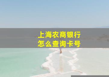 上海农商银行怎么查询卡号