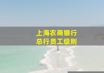 上海农商银行总行员工级别