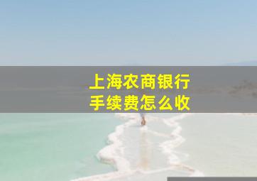 上海农商银行手续费怎么收