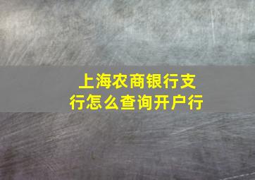 上海农商银行支行怎么查询开户行