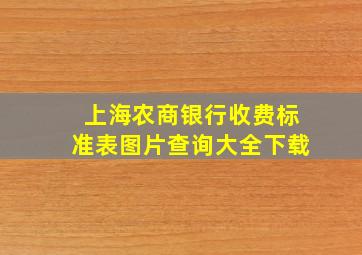 上海农商银行收费标准表图片查询大全下载