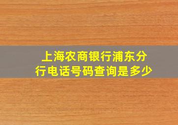 上海农商银行浦东分行电话号码查询是多少