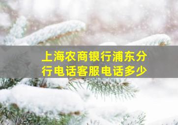 上海农商银行浦东分行电话客服电话多少