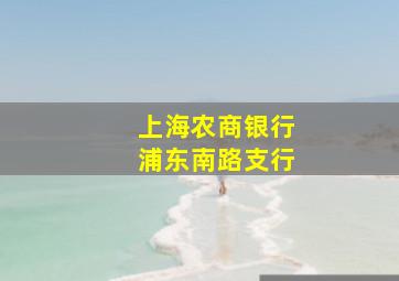 上海农商银行浦东南路支行