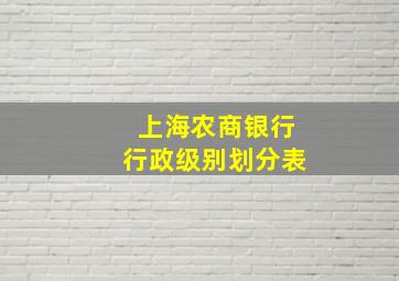 上海农商银行行政级别划分表