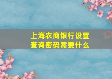 上海农商银行设置查询密码需要什么