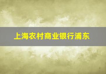 上海农村商业银行浦东