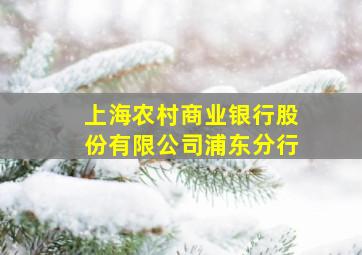 上海农村商业银行股份有限公司浦东分行