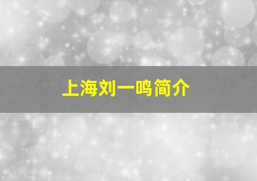 上海刘一鸣简介