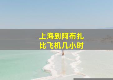 上海到阿布扎比飞机几小时