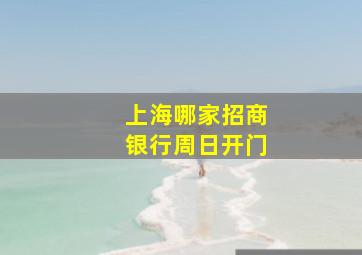 上海哪家招商银行周日开门