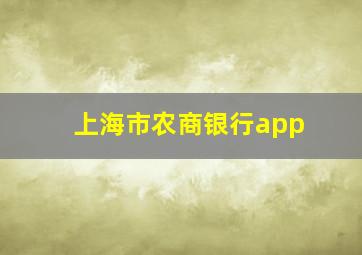 上海市农商银行app