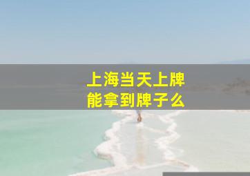 上海当天上牌能拿到牌子么