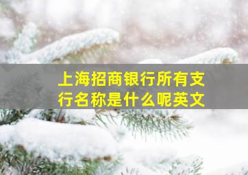 上海招商银行所有支行名称是什么呢英文