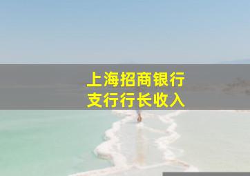 上海招商银行支行行长收入