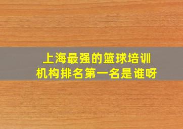 上海最强的篮球培训机构排名第一名是谁呀