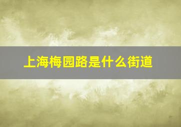 上海梅园路是什么街道