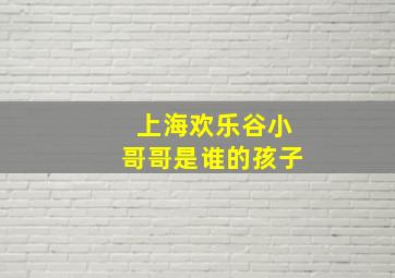 上海欢乐谷小哥哥是谁的孩子