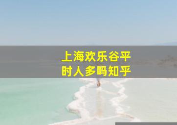 上海欢乐谷平时人多吗知乎