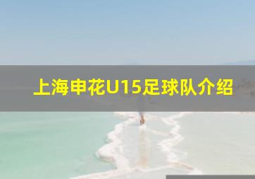 上海申花U15足球队介绍