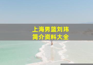 上海男篮刘玮简介资料大全