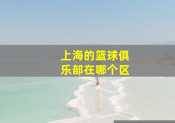 上海的篮球俱乐部在哪个区