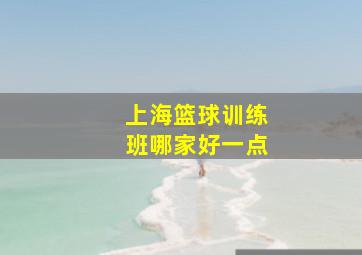 上海篮球训练班哪家好一点