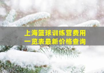 上海篮球训练营费用一览表最新价格查询