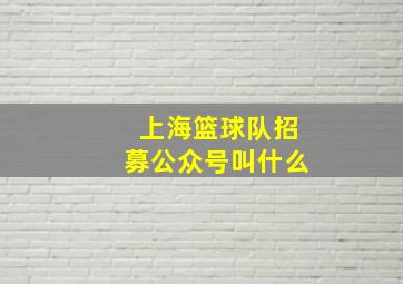 上海篮球队招募公众号叫什么