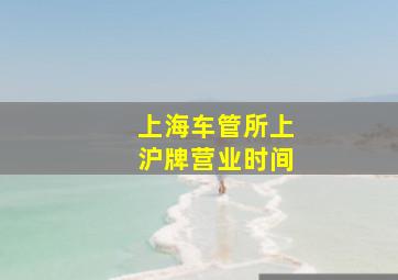 上海车管所上沪牌营业时间