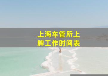 上海车管所上牌工作时间表