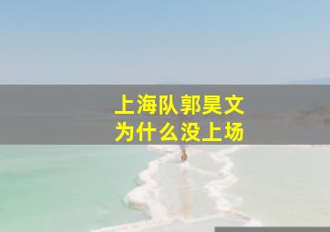 上海队郭昊文为什么没上场