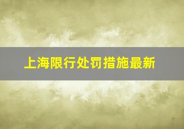 上海限行处罚措施最新