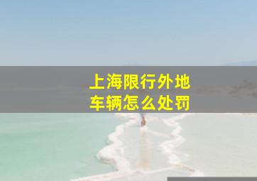 上海限行外地车辆怎么处罚