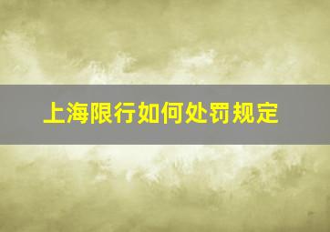 上海限行如何处罚规定