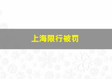 上海限行被罚