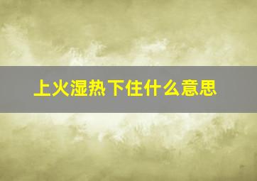 上火湿热下住什么意思