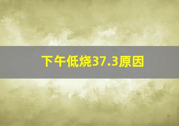 下午低烧37.3原因