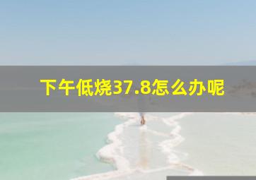 下午低烧37.8怎么办呢