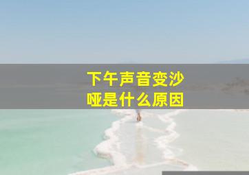 下午声音变沙哑是什么原因