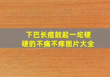 下巴长痘鼓起一坨硬硬的不痛不痒图片大全