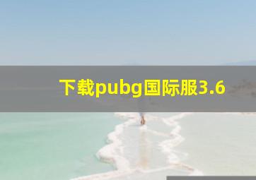 下载pubg国际服3.6