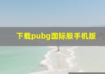 下载pubg国际服手机版