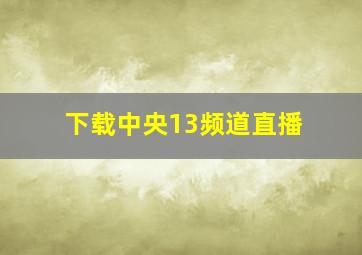 下载中央13频道直播