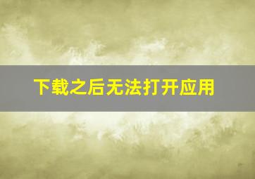 下载之后无法打开应用